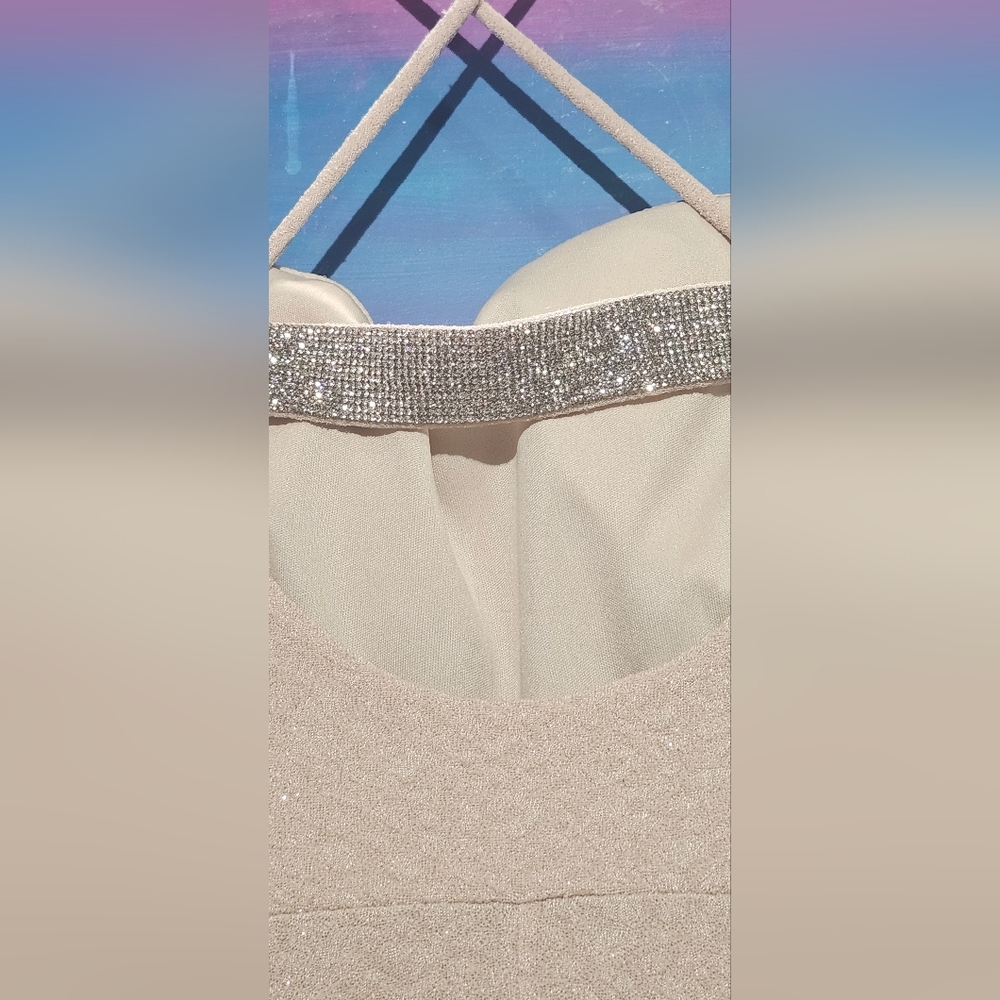 Windsor Sleveless Sparkle Cream Fit And Flare Dress image 4